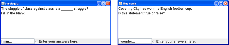 Examples of interface showing true-false and fill-in-the-blank questions