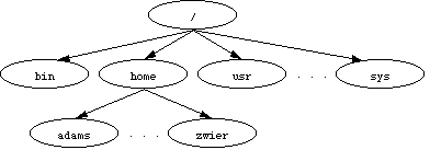 directory tree