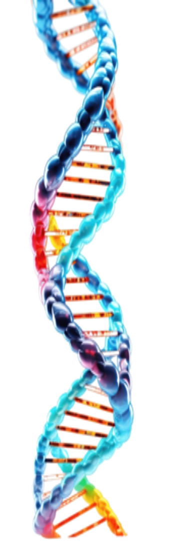A depiction of a DNA sequence.