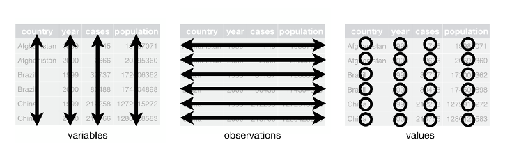 Tidy Data Rules